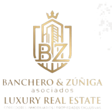 byz logo transparent