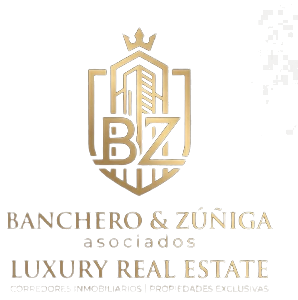 byz logo transparent